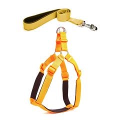 Köpek Göğüs Tasma Seti 50-70 cm Sarı + Gezdirme Kayışı
