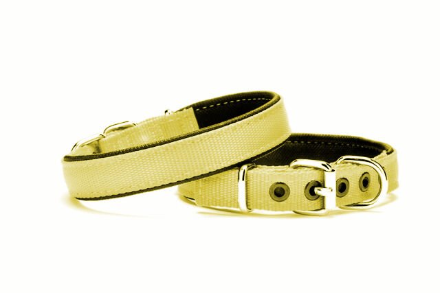 Yumuşak Doku Köpek Boyun Tasması 2,5/55 cm Sarı