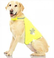 Pawise Fosforlu Köpek Yeleği Medium 42*66 cm