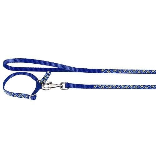 Ferplast Köpek Boyun Tasması + Gezdirme Kayışı 110 cm Mavi