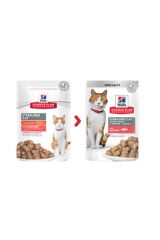 Hills Kısırlaştırılmış Somonlu Kedi Maması 85 Gr