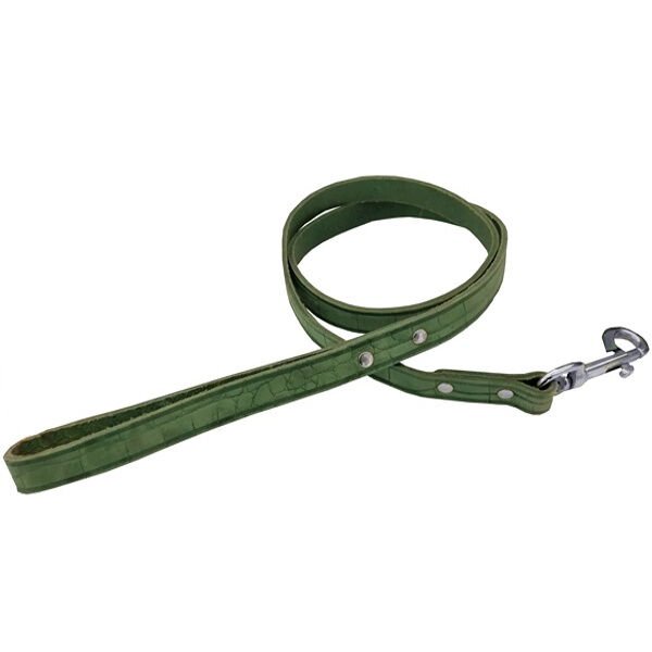 Deri Köpek Gezdirme Halatı Yılan Desenli 1,5 cm / 100 cm Yeşil