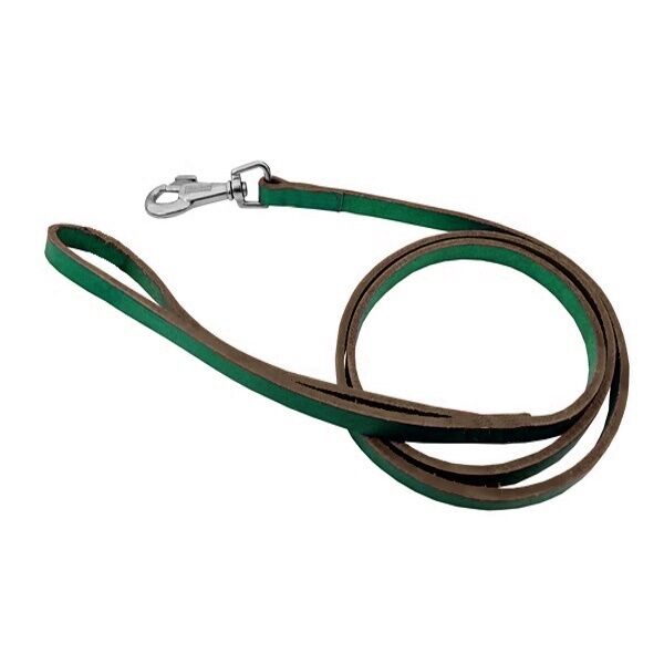 Köpek Gezdirme Halatı Deri 2 cm / 100 cm Yeşil