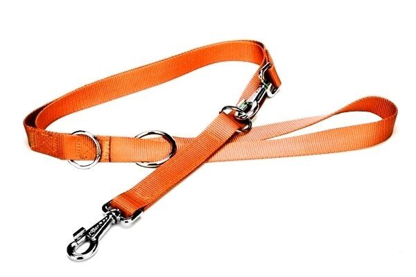 Doggie Dokuma Eğitimci Gezdirme Tasması 2,5*190 cm Turuncu
