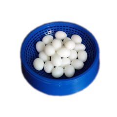 Pet Garden Kuş Yumurtası 2.5*3.5 cm Folluk Yumurta (10'lu Paket)