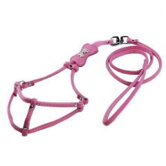 Köpek Deri Tasma Seti 44 -52*120 cm Pembe X Large