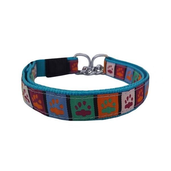 Köpek Boyun Tasması 2 cm * Min: 32-Max: 50 cm Patili