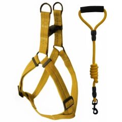 Köpek Göğüs Bel Tasma Ve Gezdirme Seti 10 mm-120 cm 54 cm*2 cm Sarı