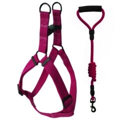 Köpek Göğüs Bel Tasma Ve Gezdirme Seti 12 mm-120 cm 62 cm*2.5 cm Pembe