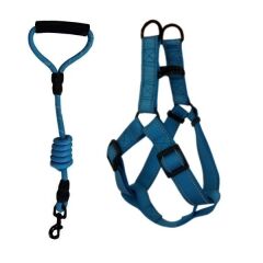 Köpek Göğüs Bel Tasma Ve Gezdirme Seti 12 mm-120 cm 62 cm*2.5 cm Mavi