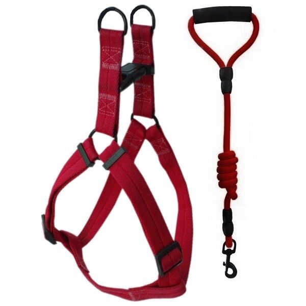 Köpek Göğüs Bel Tasma Ve Gezdirme Seti 12 mm-120 cm 62 cm*2.5 cm Kırmızı