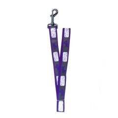 Köpek Göğüs Bel Tasma Ve Gezdirme Seti 120*2.0 cm 25-38 cm*2.0 cm Turuncu