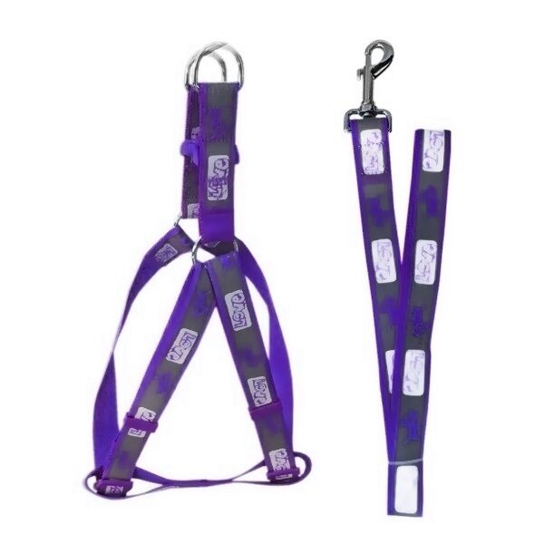 Köpek Göğüs Bel Tasma Ve Gezdirme Seti 120*1.5 cm 19-27 cm*1.5 cm Turuncu