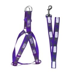 Köpek Göğüs Bel Tasma Ve Gezdirme Seti 120*1.5 cm 19-27 cm*1.5 cm Turuncu