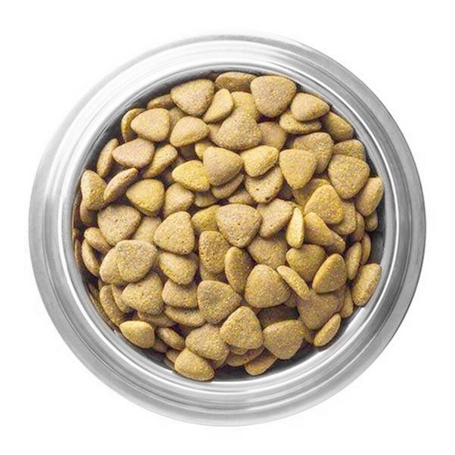 Pro Performance Yetişkin Kuzu Etli Köpek Maması 1 kg Açık Mama