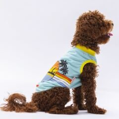 Pawstar Mint Sunrise Tişört Small 23x24x37 cm
