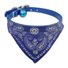 Fularlı Kedi ve Küçük Irk Köpek Boyun Tasması 27 cm Mavi