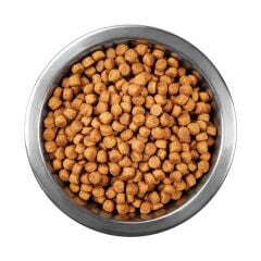 Animal World Multicolor Kedi Maması 15 Kg