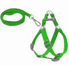 Köpek Göğüs Tasma Seti 25-40 cm Yeşil + Gezdirme Kayışı