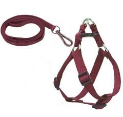 Köpek Göğüs Tasma Seti 25-40 cm Kırmızı + Gezdirme Kayışı