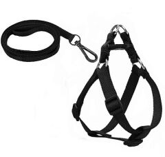 Köpek Göğüs Tasma Seti 30-50 cm Siyah + Gezdirme Kayışı