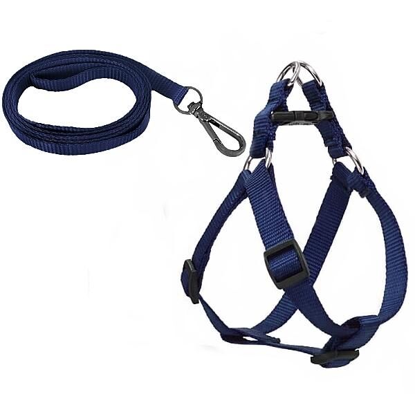 Köpek Göğüs Tasma Seti 30-50 cm Mavi+ Gezdirme Kayışı