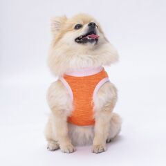Pawstar Orange Joy Tişört XXLarge 38X43X58 cm