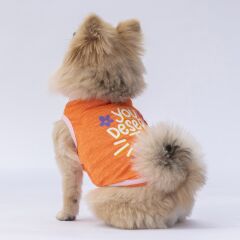 Pawstar Orange Joy Tişört XXLarge 38X43X58 cm