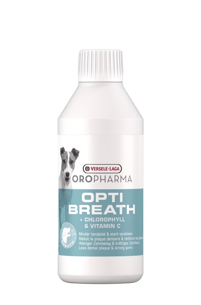 Versele Laga Oropharma Bitkisel Köpek Ağız Koku Giderici 250 ml