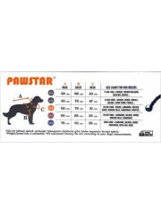 Pawstar Green Shark Büyük T-shirt 6XLarge  55X69X86 CM