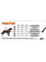Pawstar Green Shark Büyük T-shirt 7XLarge  59X76X92 CM