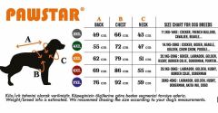 Pawstar Navy Blue Summer Time Büyük T-shirt 4XLarge  47X55X72 CM