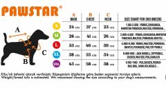 Pawstar Neon Fuchsia Railway Vest Köpek Montu 2XLarge 38x43x58 cm