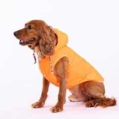 Pawstar Neon Orange Railway Vest Köpek Montu Medium 24x26x41 cm