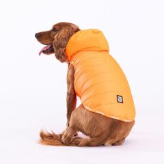 Pawstar Neon Orange Railway Vest Köpek Montu Medium 24x26x41 cm