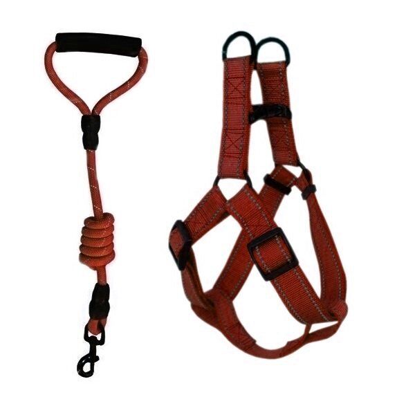 Köpek Göğüs Bel Tasma Ve Gezdirme Seti Min:50-Max:70 cm 120 cm Turuncu