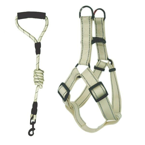 Köpek Göğüs Bel Tasma Ve Gezdirme Seti Min:50-Max:70 cm 120 cm Sarı