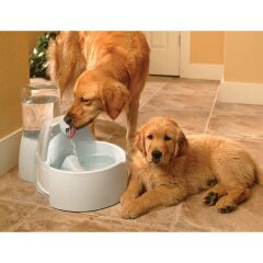 Drinkwell Big Dog Kedi ve Köpek Su Pınarı 9 Lt