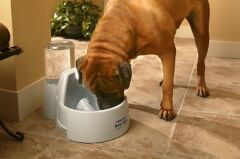 Drinkwell Big Dog Kedi ve Köpek Su Pınarı 9 Lt