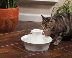 Drinkwell Avalon Kedi ve Köpek Su Pınarı 2 Lt