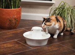 Drinkwell Avalon Kedi ve Köpek Su Pınarı 2 Lt