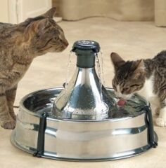 Drinkwell 360 Paslanmaz Çelik Kedi ve Köpek Su Pınarı 3,8 lt