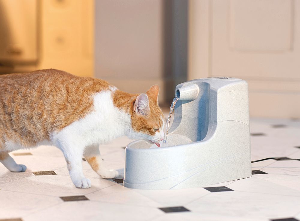 Drinkwell Mini Kedi ve Köpek Su Pınarı 1,2 lt