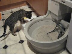 CatGenie 120 Plus Otomatik Kedi Tuvaleti