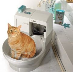 CatGenie 120 Plus Otomatik Kedi Tuvaleti