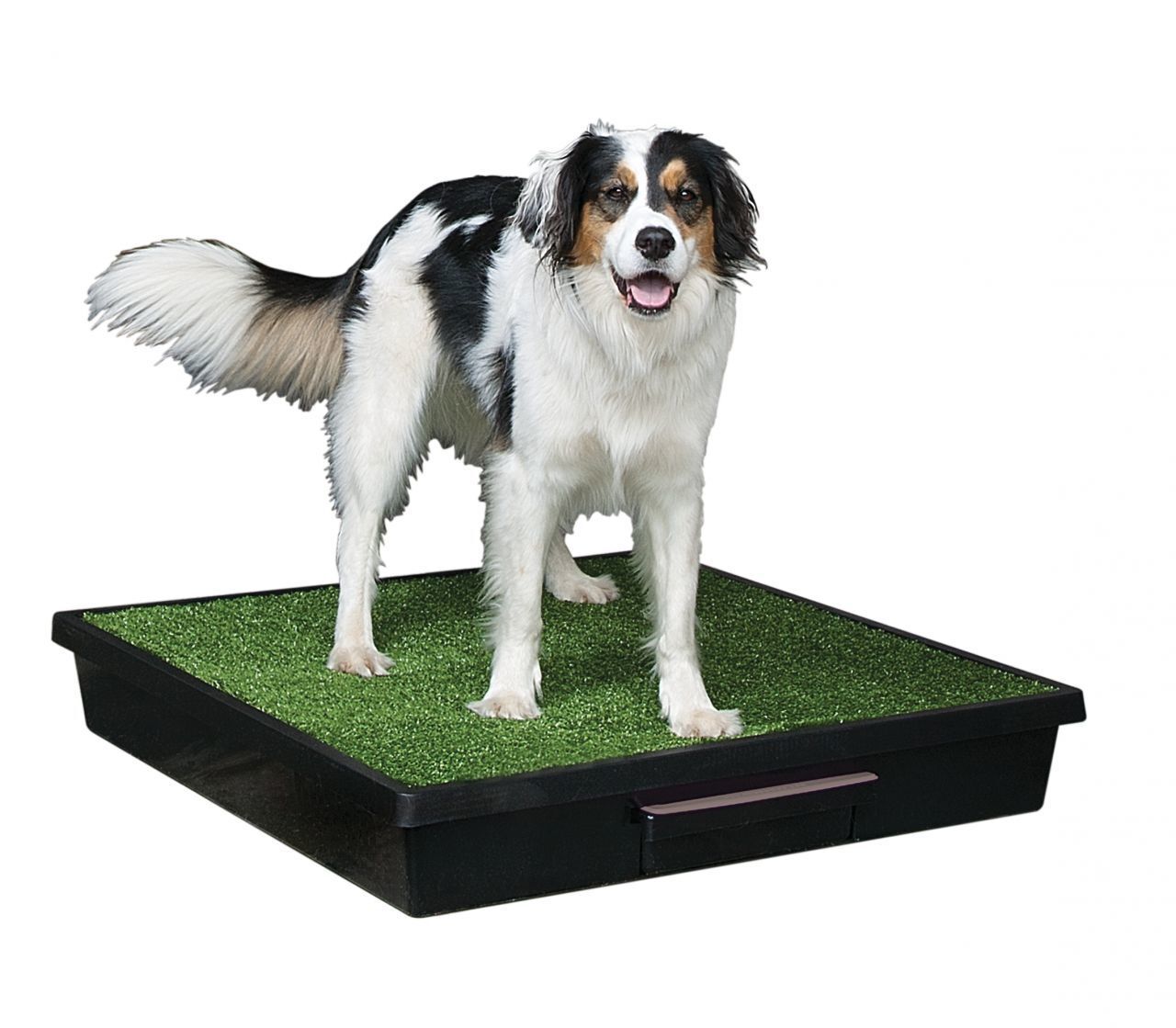 Pet Loo Köpek Tuvaleti Large 83x83 cm