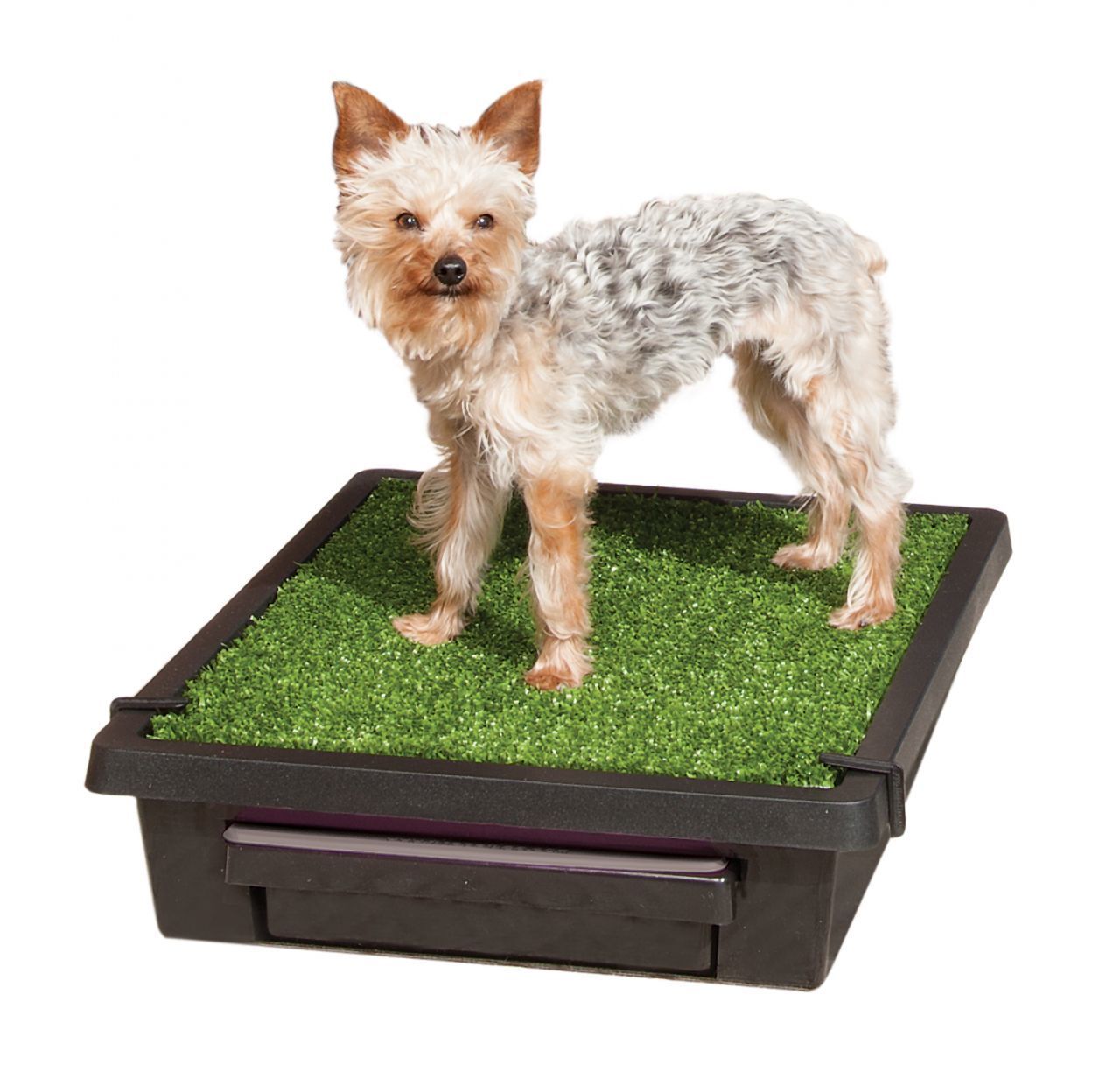 Pet Loo Small Köpek Tuvaleti 53x45 cm