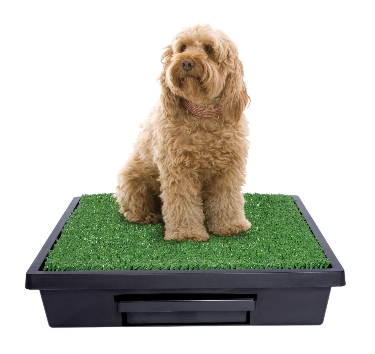 Pet Loo Medium Köpek Tuvaleti 63x63 cm