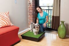 Pet Loo Medium Köpek Tuvaleti 63x63 cm