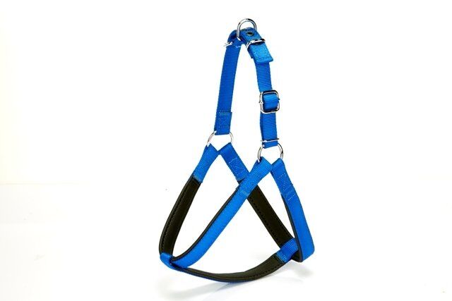 Doggie Köpek Göğüs Tasması 90 cm XXLarge Mavi